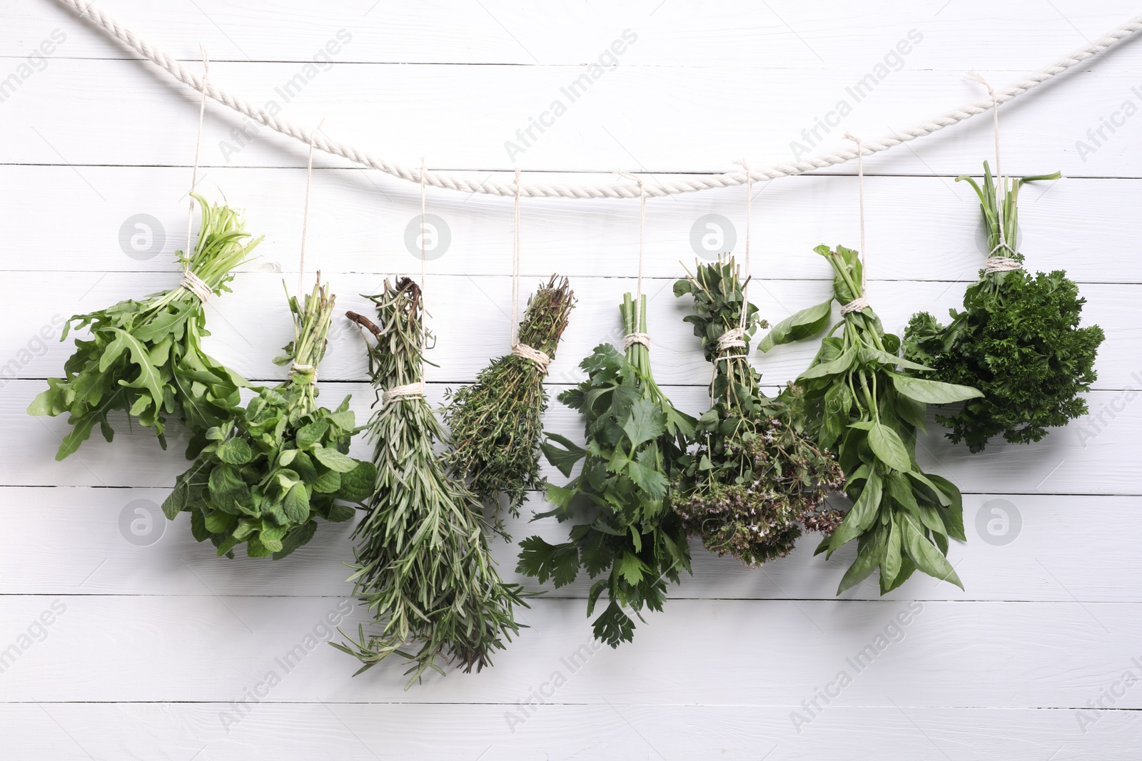 Photo of Bunches of different aromatic herbs hanging on rope near white wooden wall