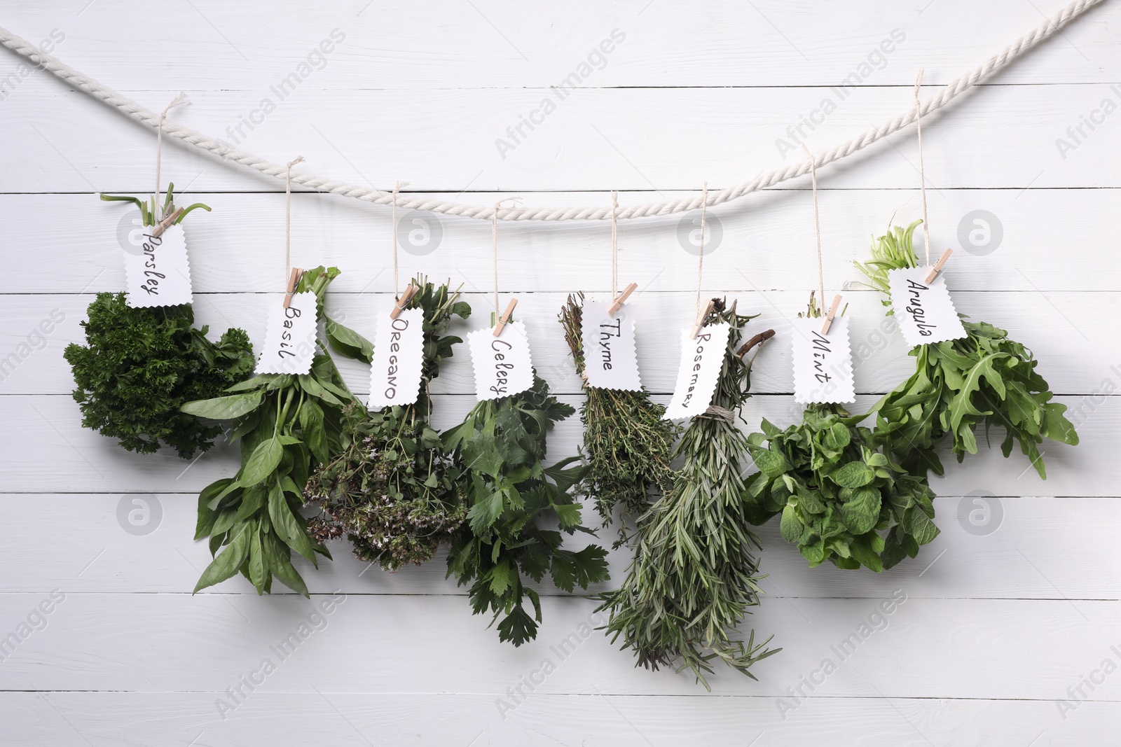 Photo of Bunches of different aromatic herbs and notes with names hanging on rope near white wooden wall