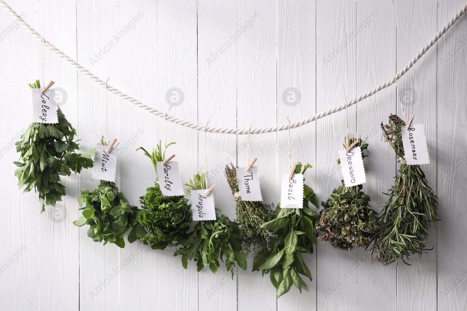 Photo of Bunches of different aromatic herbs and notes with names hanging on rope near white wooden wall