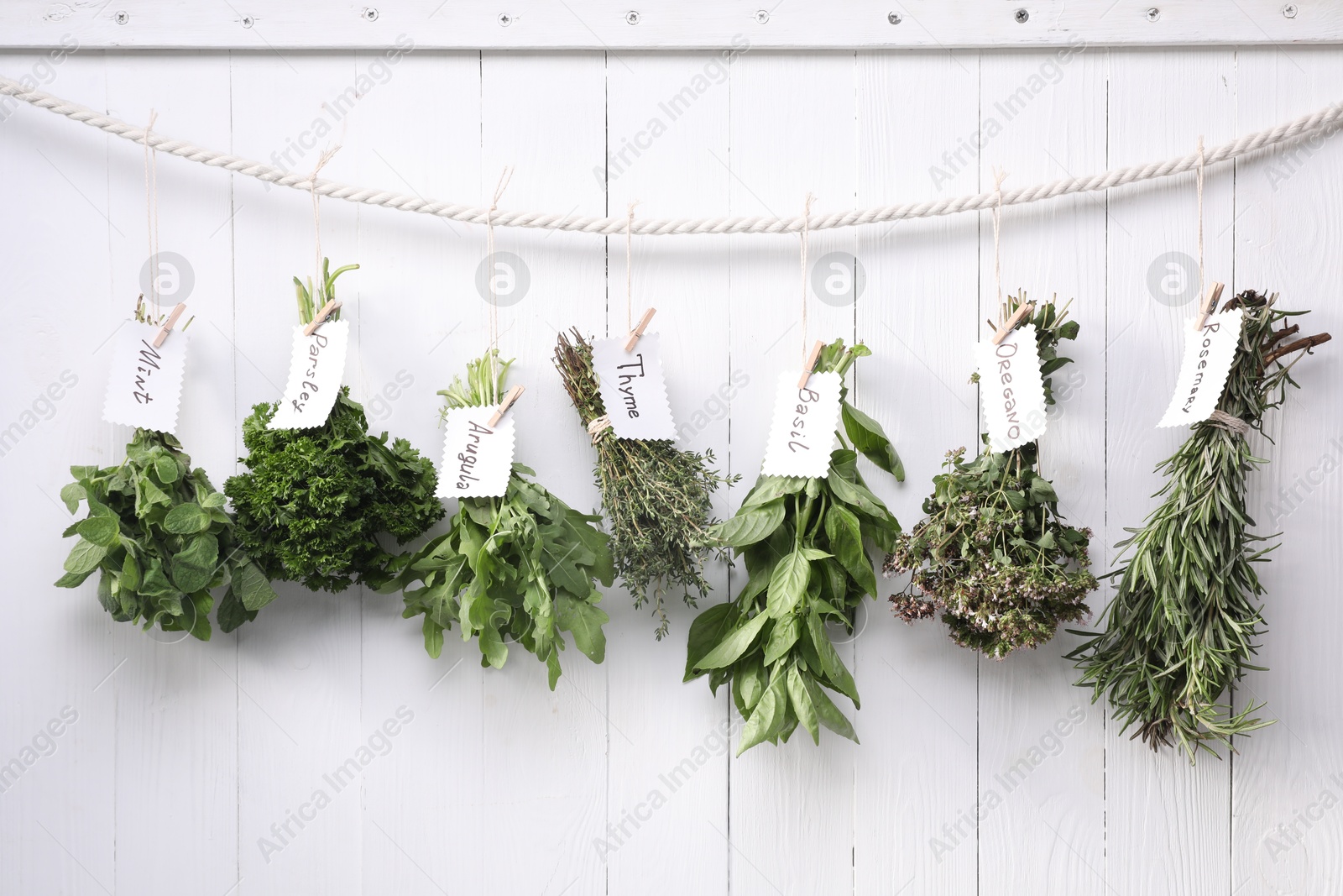 Photo of Bunches of different aromatic herbs and notes with names hanging on rope near white wooden wall