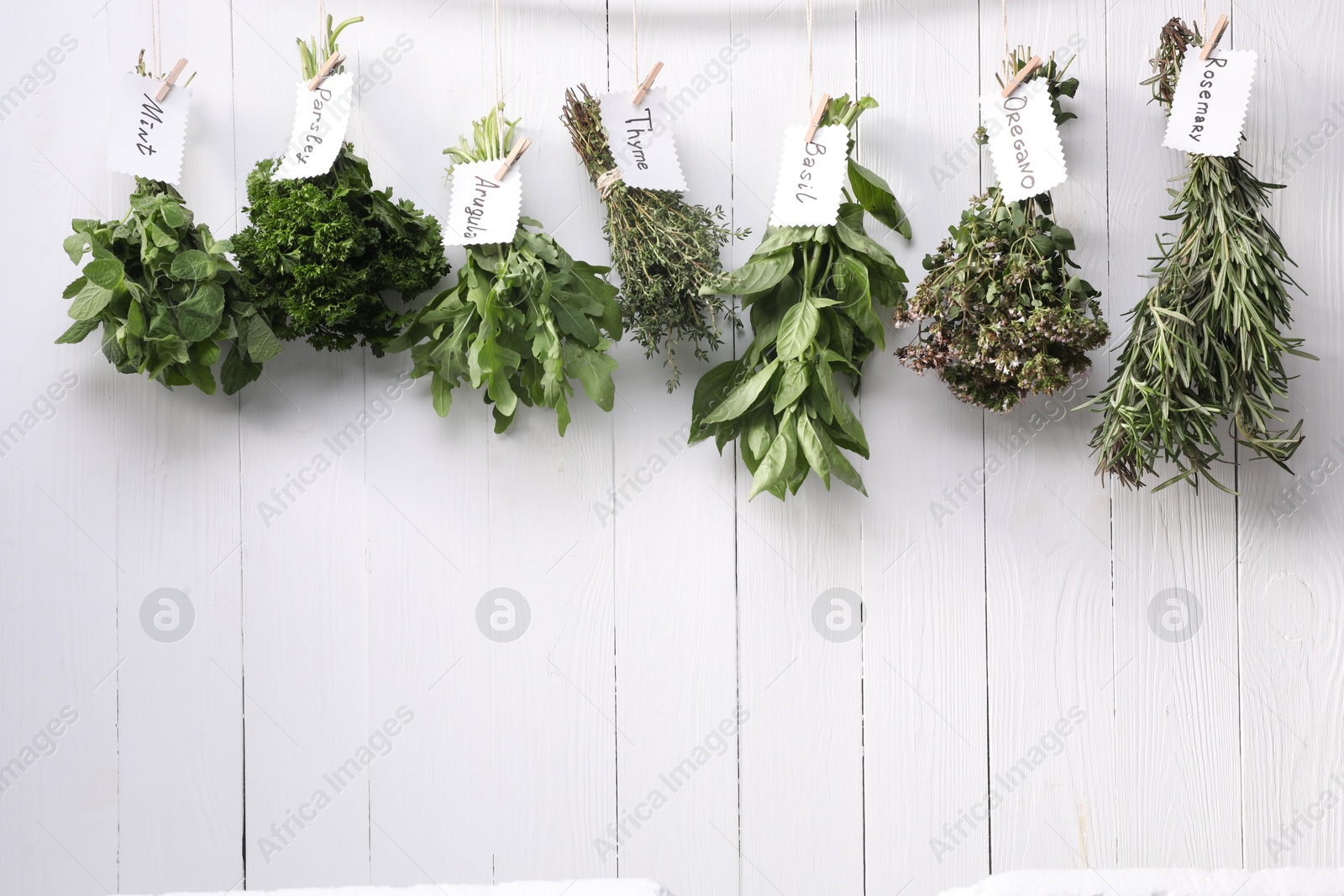 Photo of Bunches of different aromatic herbs and notes with names hanging on rope near white wooden wall, space for text