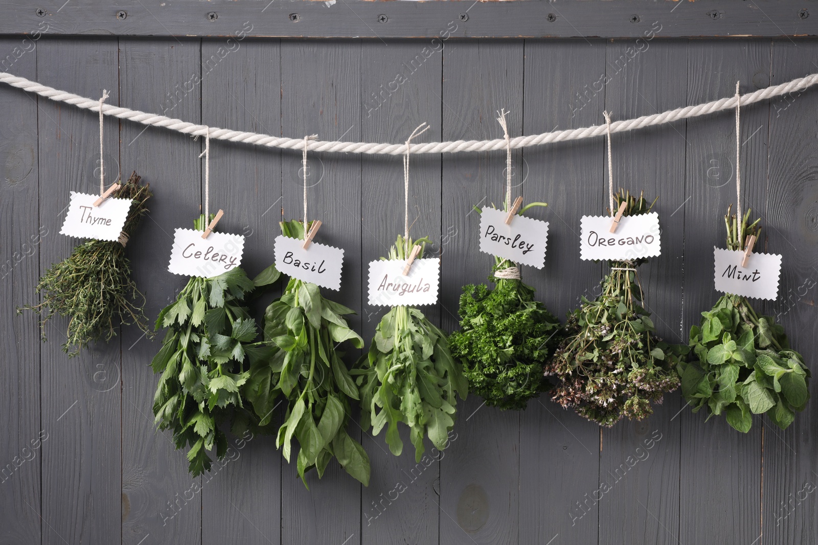 Photo of Bunches of different aromatic herbs and notes with names hanging on rope near grey wooden wall