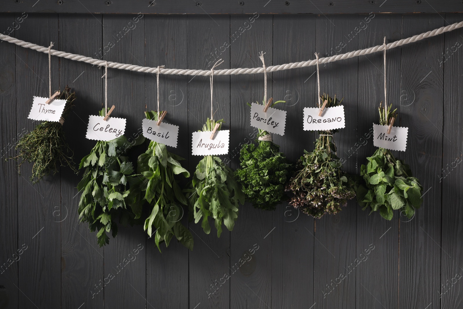 Photo of Bunches of different aromatic herbs and notes with names hanging on rope near grey wooden wall