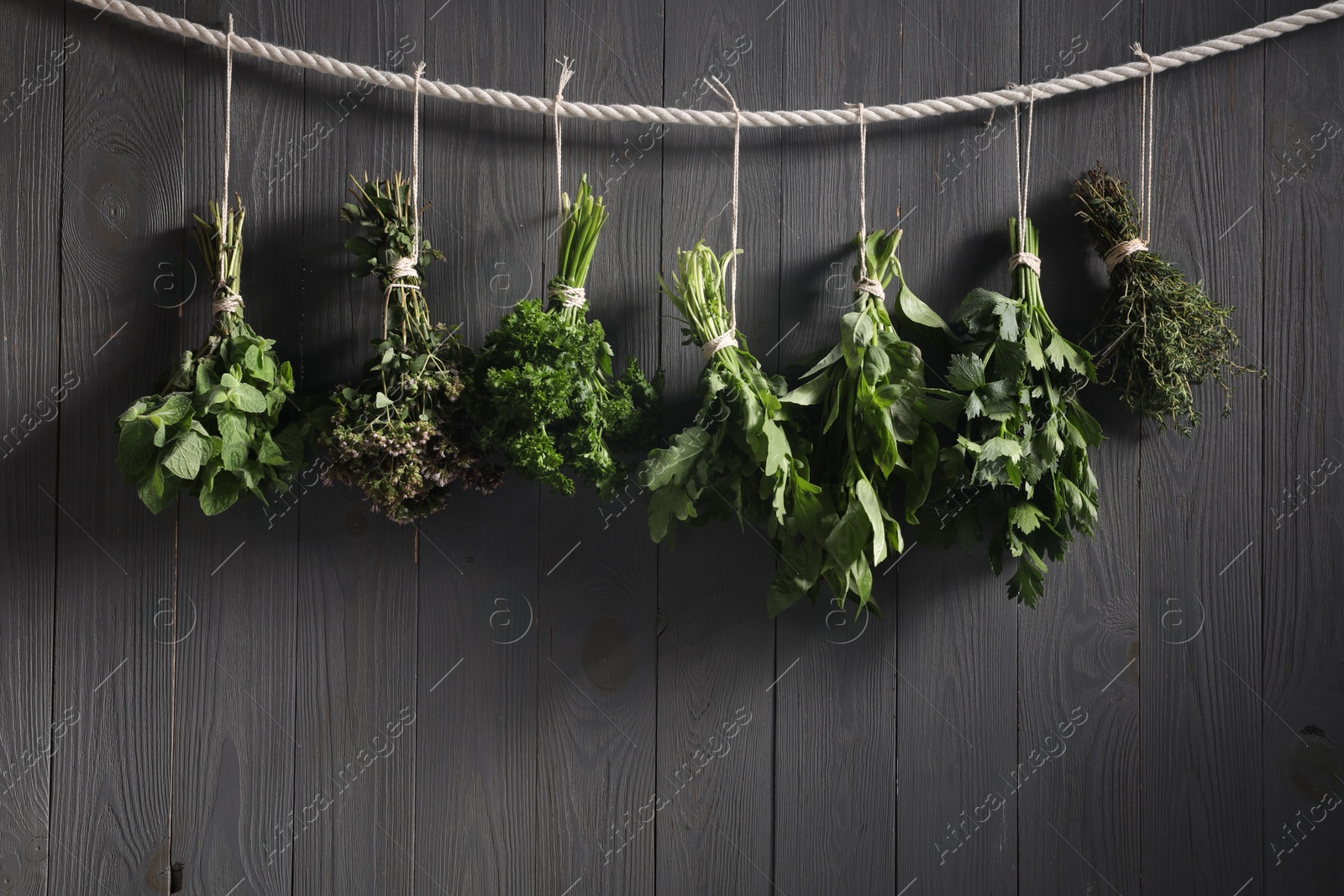 Photo of Bunches of different aromatic herbs hanging on rope near grey wooden wall