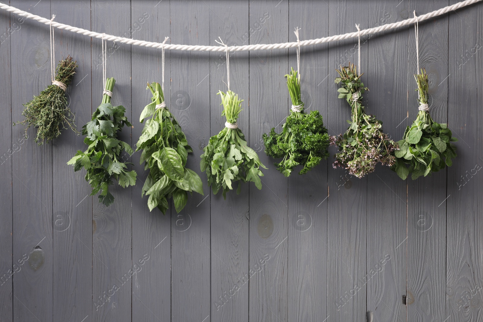 Photo of Bunches of different aromatic herbs hanging on rope near grey wooden wall