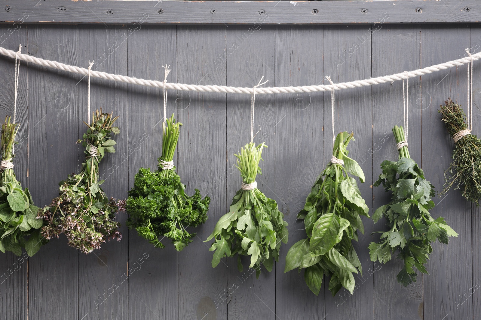 Photo of Bunches of different aromatic herbs hanging on rope near grey wooden wall