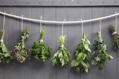 Photo of Bunches of different aromatic herbs hanging on rope near grey wooden wall