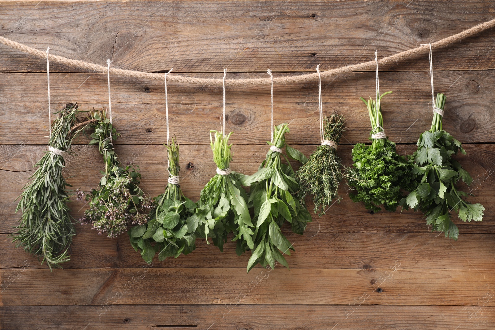 Photo of Bunches of different aromatic herbs hanging on rope near wooden wall