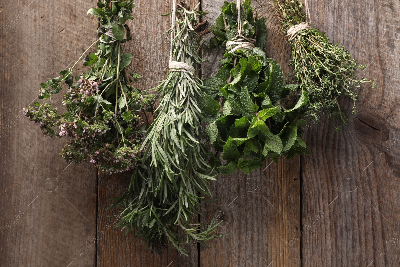 Photo of Bunches of different aromatic herbs hanging on rope near wooden wall