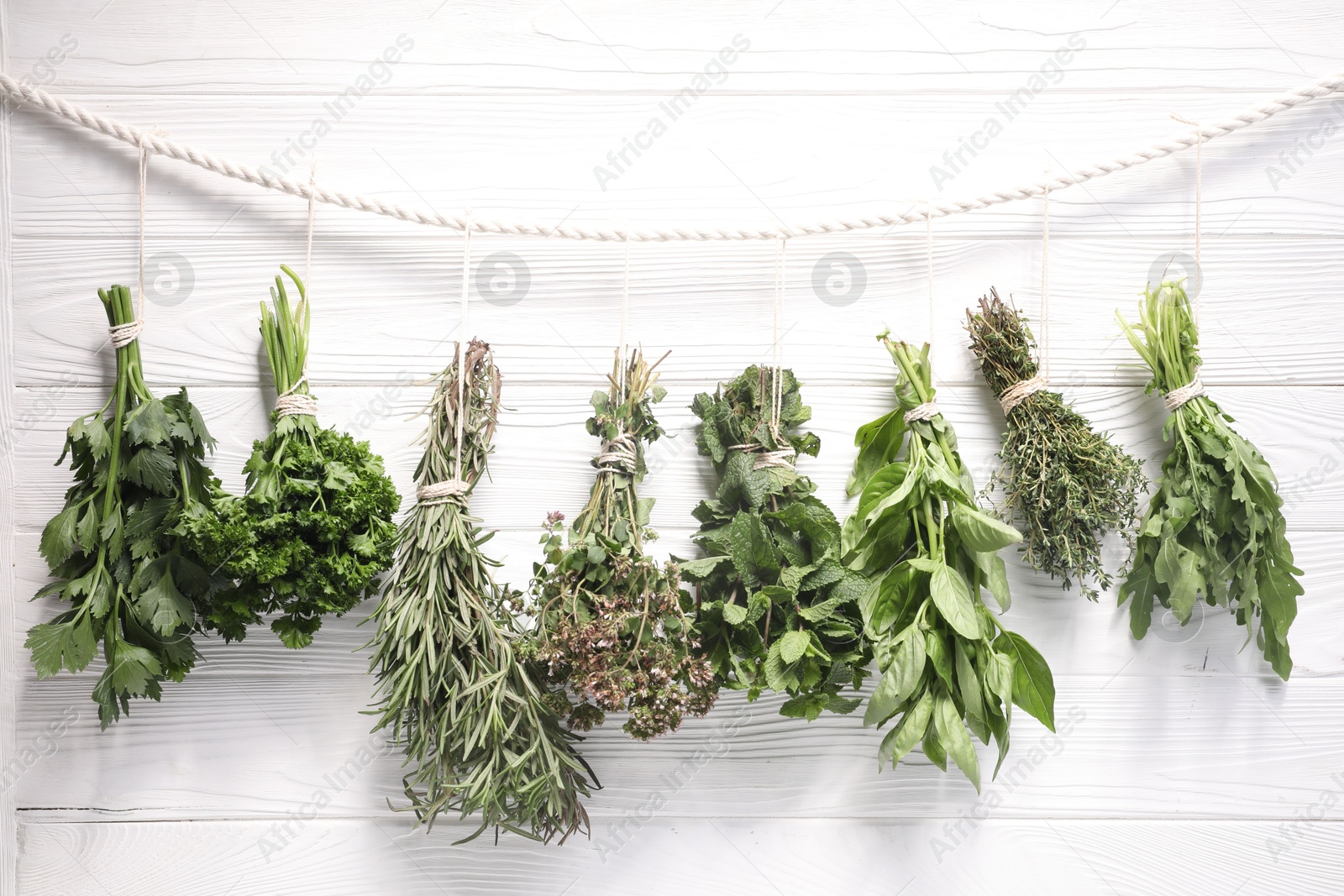 Photo of Bunches of different aromatic herbs hanging on rope near white wooden wall