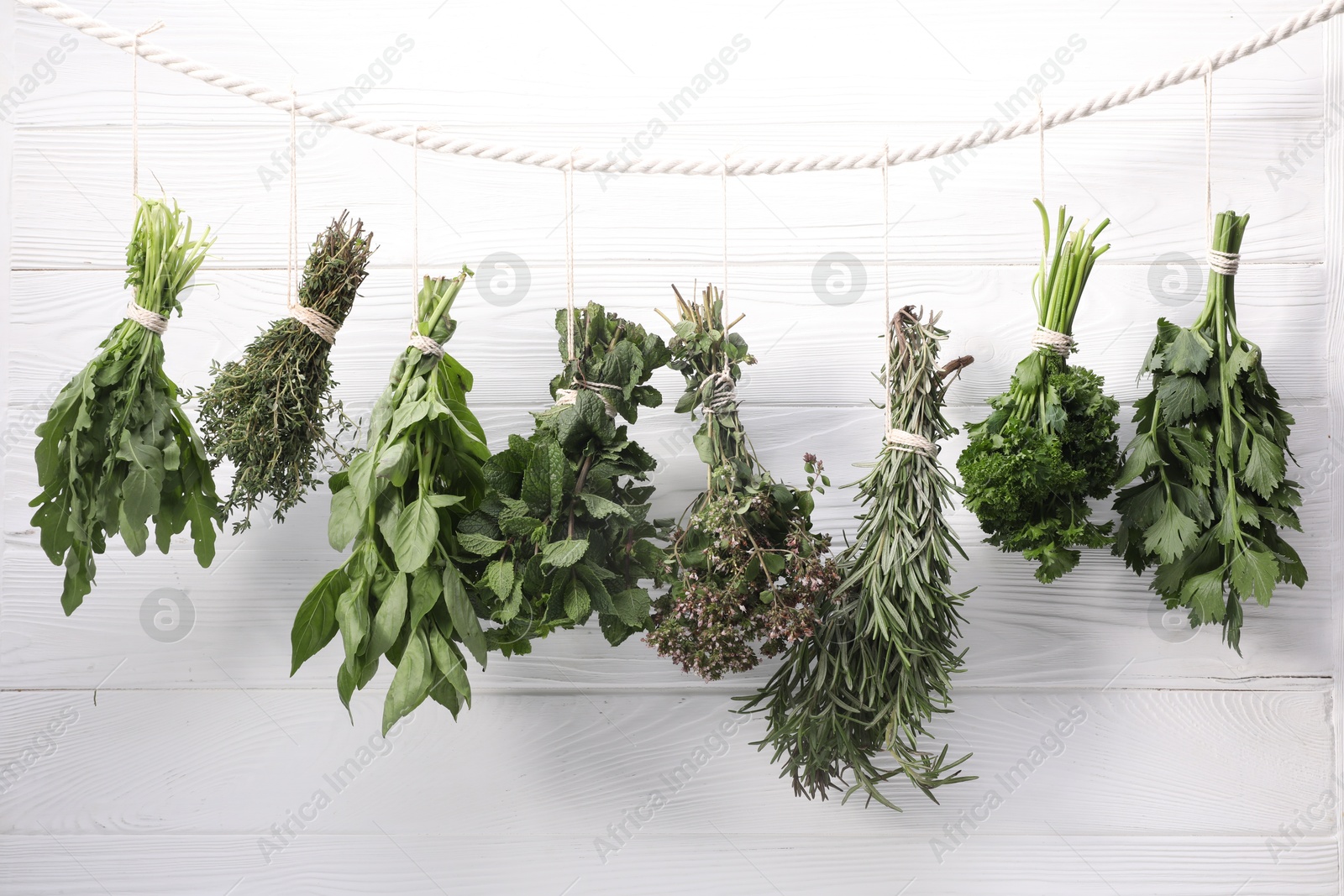 Photo of Bunches of different aromatic herbs hanging on rope near white wooden wall