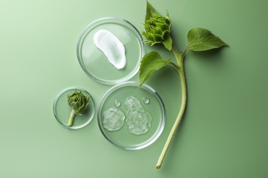 Petri dishes with cosmetic products and sunflowers on green background, flat lay