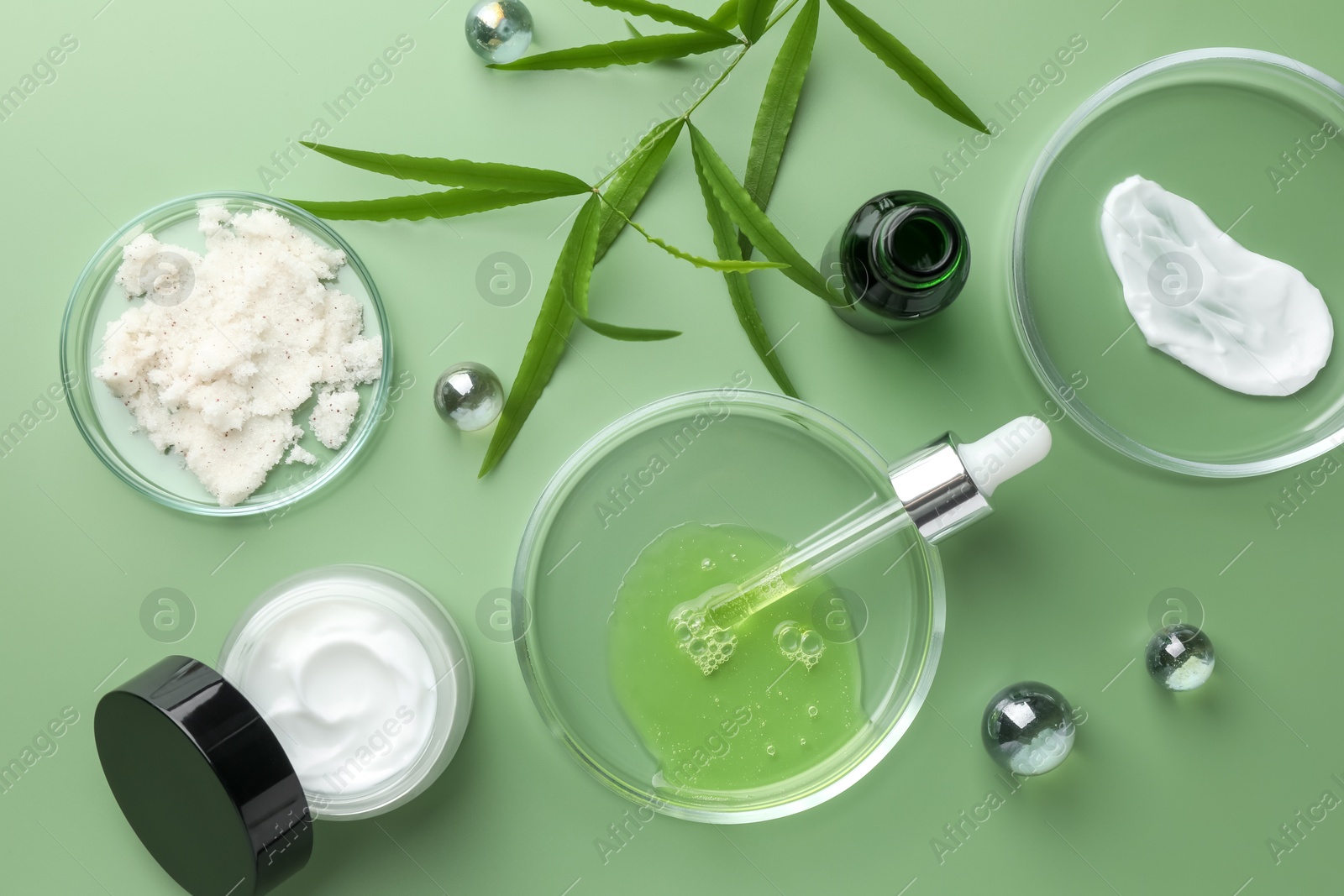 Photo of Petri dishes with cosmetic products, pipette and leaves on green background, flat lay