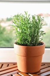 Photo of Aromatic rosemary plant in pot on wooden table near window indoors