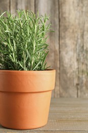 Photo of Aromatic rosemary plant in pot on wooden table, closeup