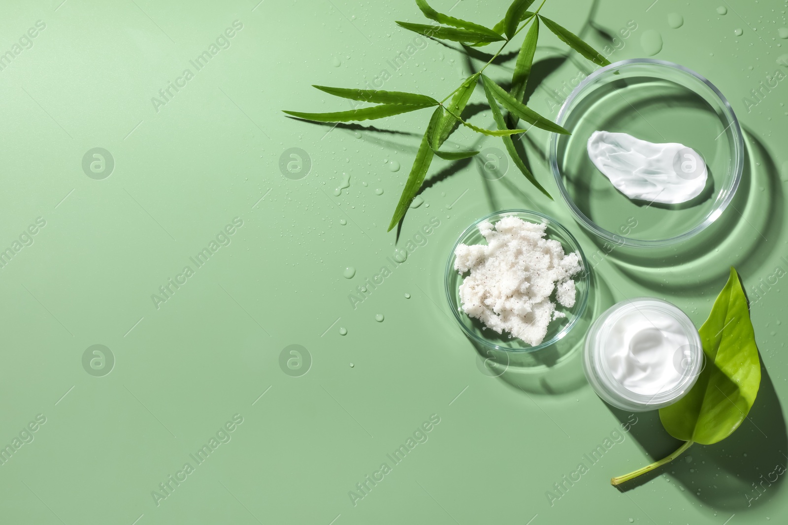 Photo of Petri dishes with cosmetic products and leaves on green background, flat lay. Space for text