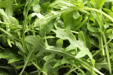 Photo of Many fresh arugula leaves with water drops as background, above view