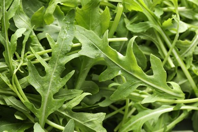 Photo of Many fresh arugula leaves with water drops as background, above view