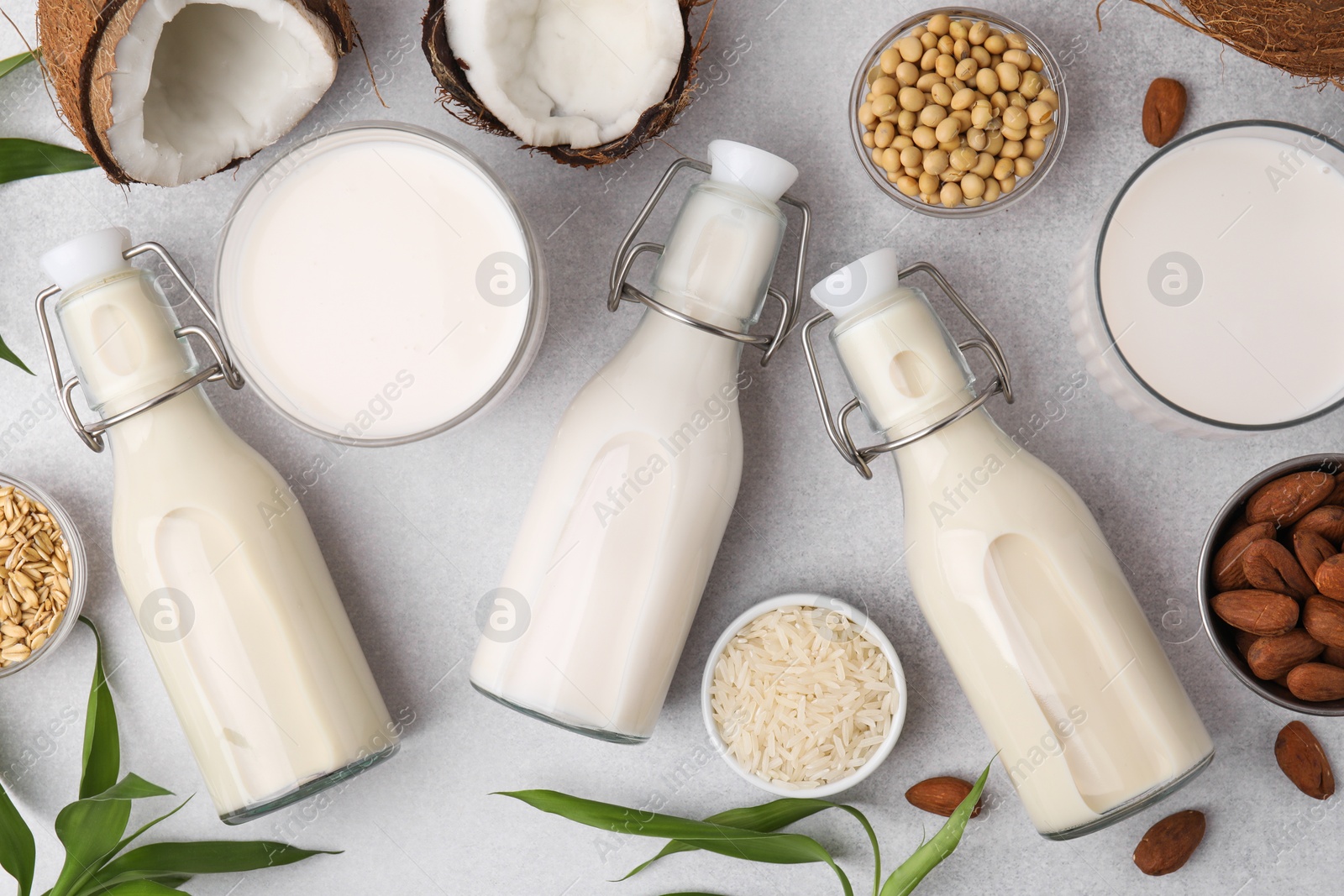 Photo of Different types of vegan milk with ingredients and leaves on light grey table, flat lay