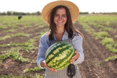 Photo of Woman with ripe watermelon in field on sunny day