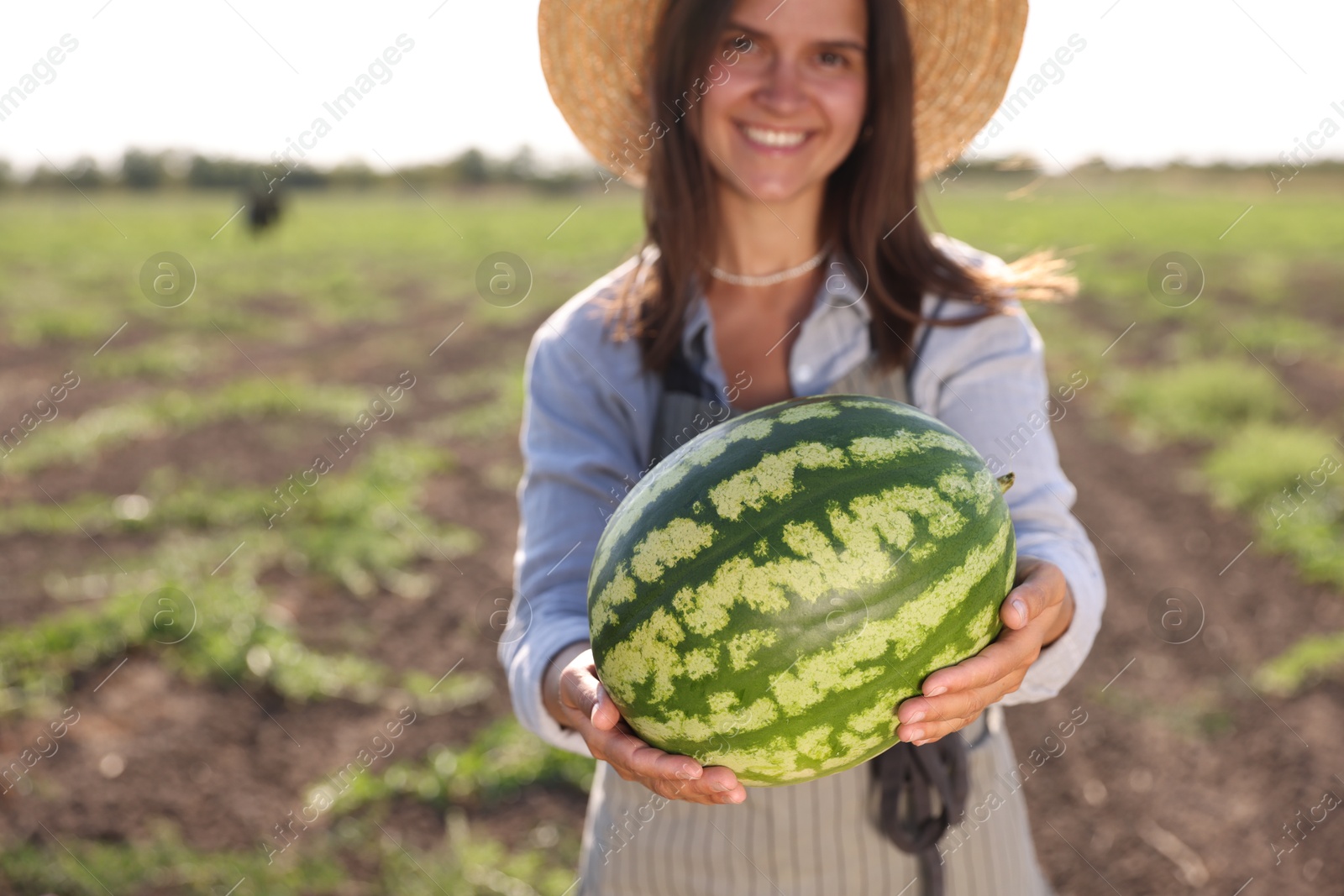 Photo of Woman with ripe watermelon in field on sunny day, selective focus. Space for text