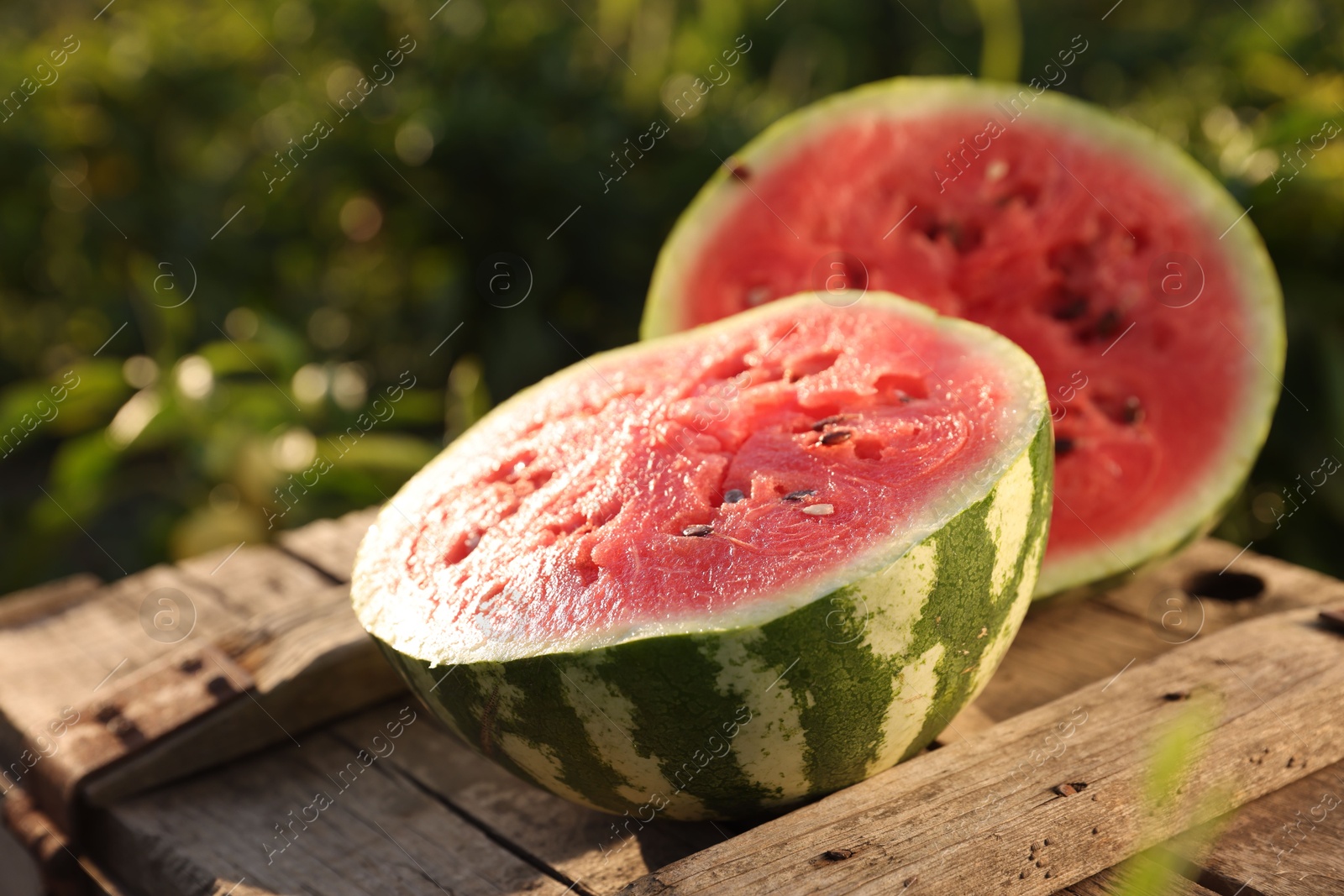 Photo of Halves of ripe watermelon on wooden crate outdoors, closeup