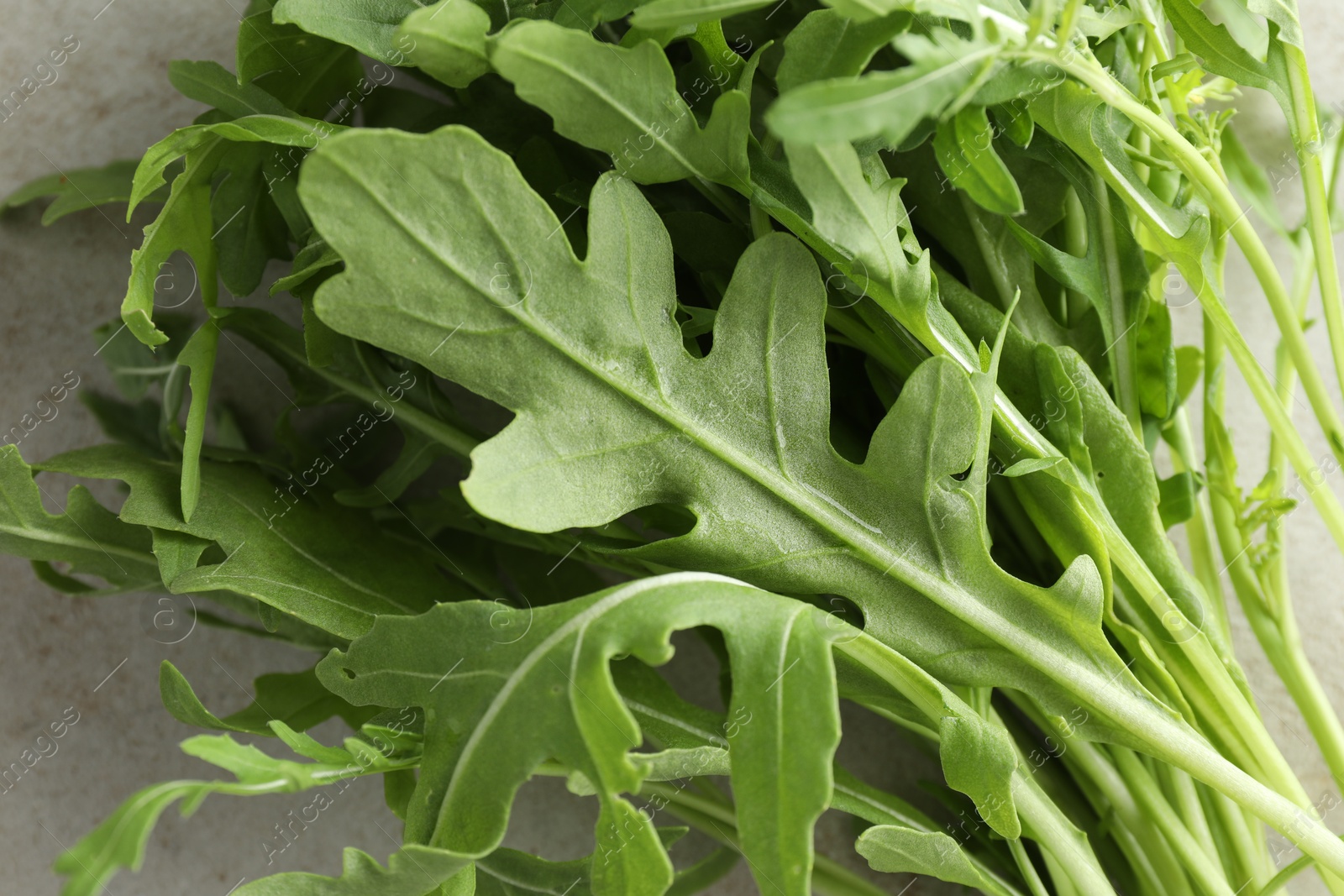 Photo of Many fresh arugula leaves on grey textured table, above view