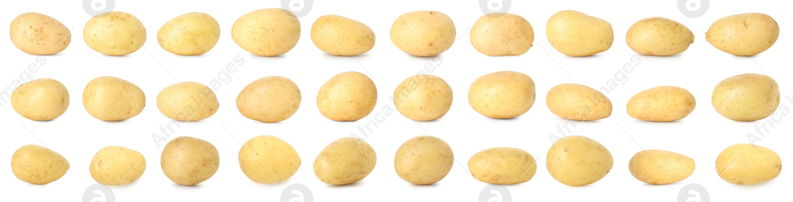 Image of Many whole potatoes isolated on white, set