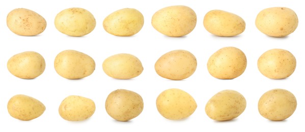 Many whole potatoes isolated on white, set