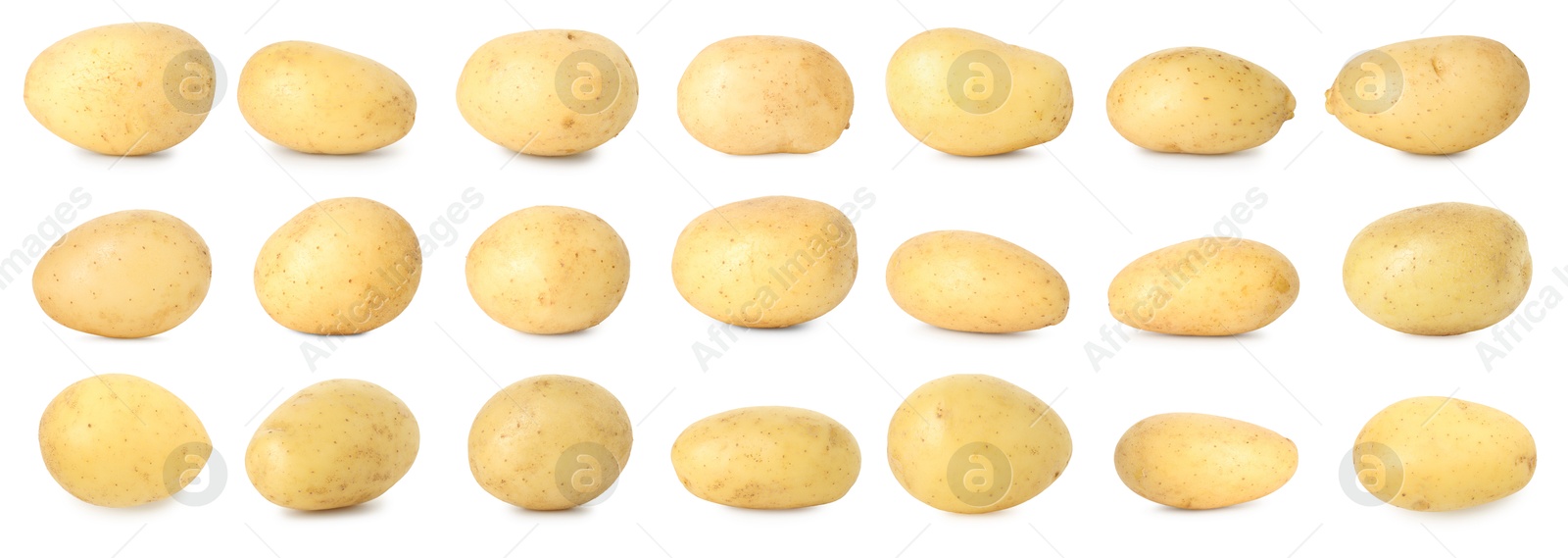 Image of Many whole potatoes isolated on white, set