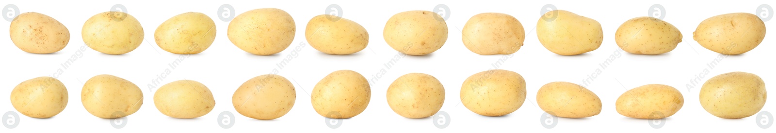 Image of Many whole potatoes isolated on white, set