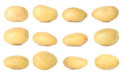 Image of Many whole potatoes isolated on white, set