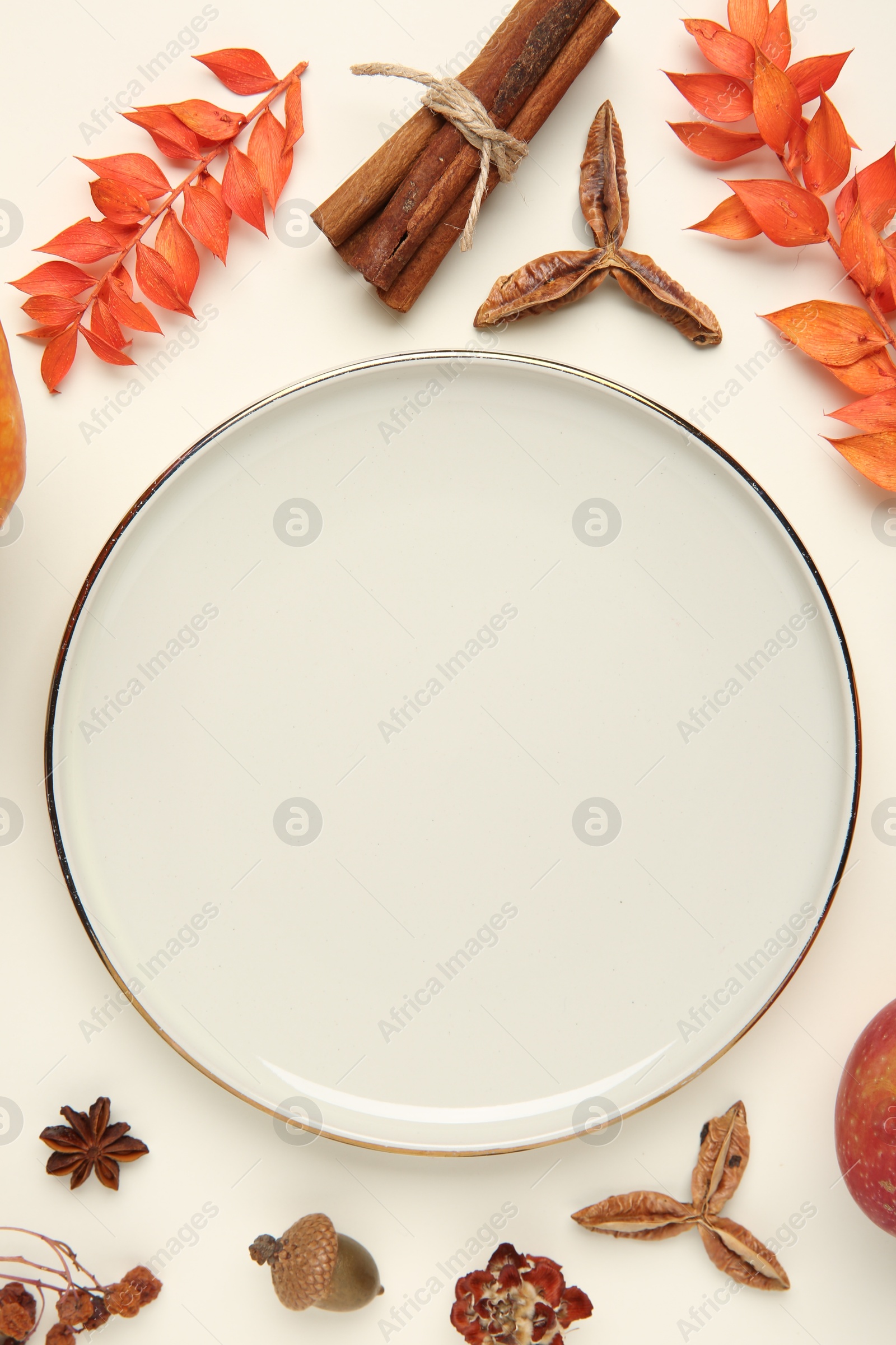 Photo of Stylish plate and autumn decor on white background, flat lay