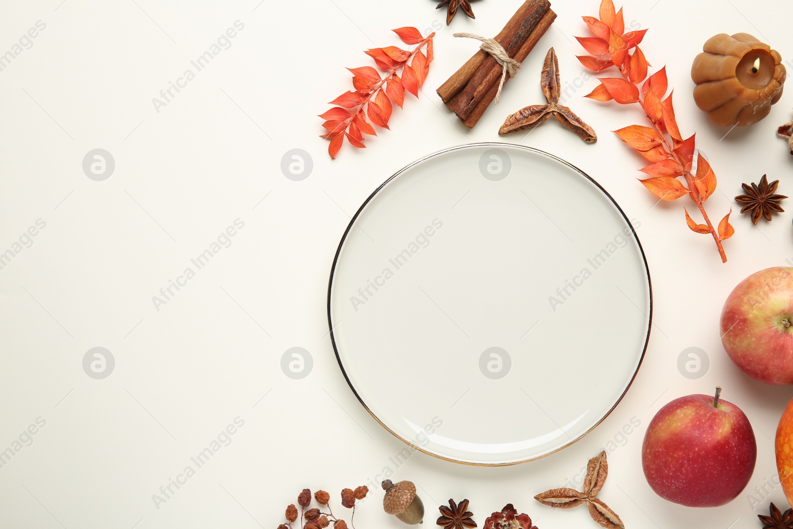 Photo of Stylish plate and autumn decor on white background, flat lay. Space for text