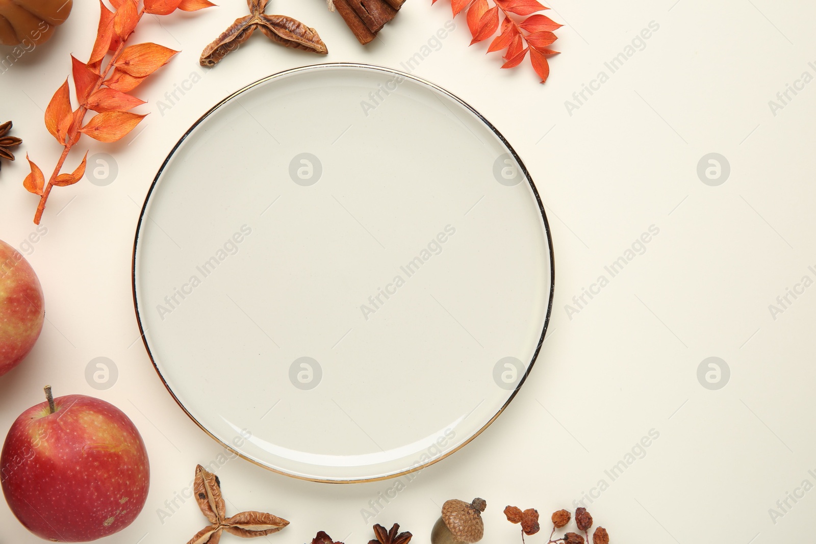 Photo of Stylish plate and autumn decor on white background, flat lay