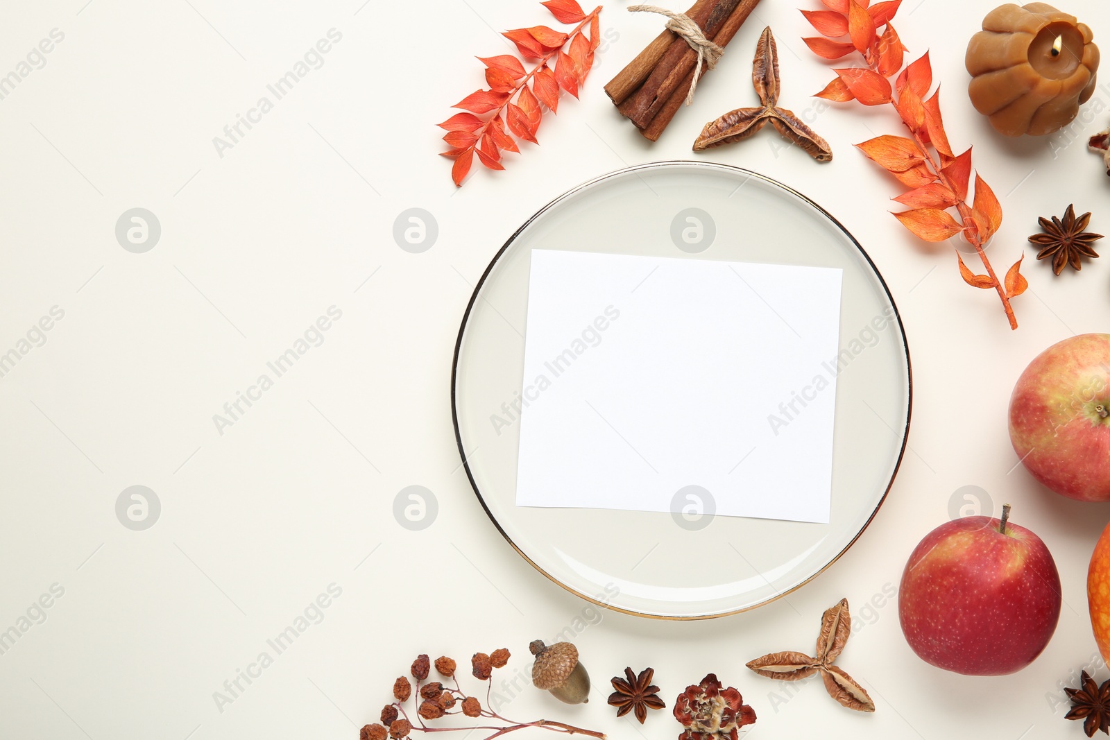 Photo of Stylish plate, blank card and autumn decor on white background, flat lay. Space for text