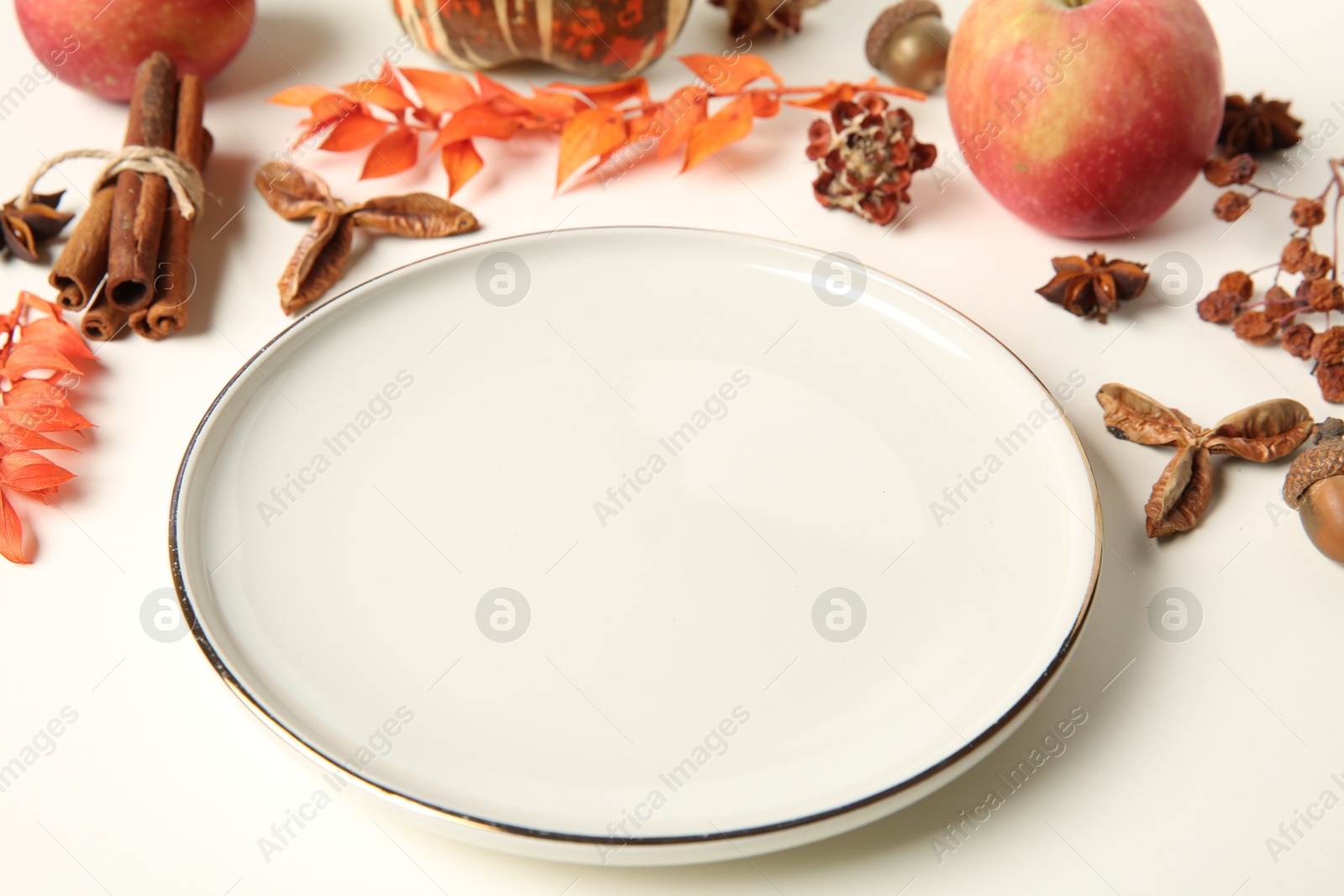 Photo of Stylish plate and autumn decor on white background