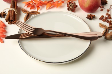 Photo of Beautiful table setting with autumn decor on white background, closeup