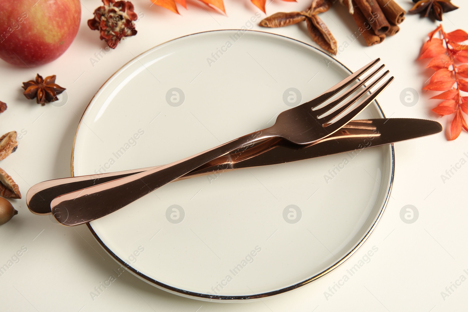 Photo of Beautiful table setting with autumn decor on white background, closeup