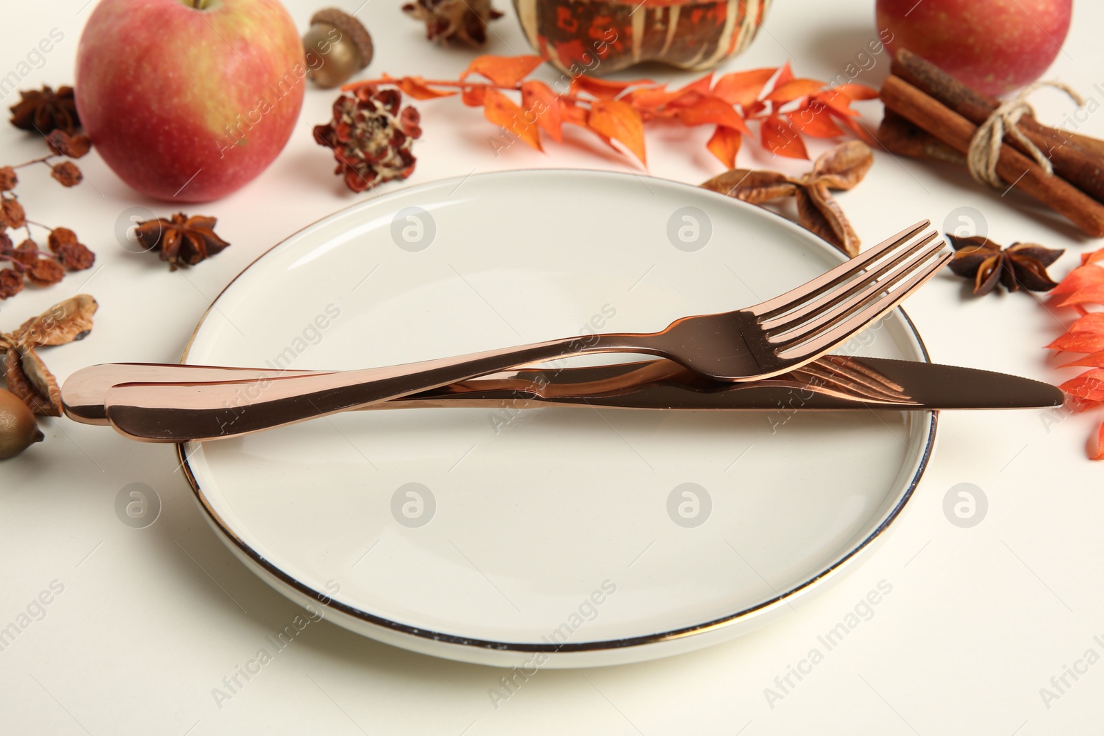 Photo of Beautiful table setting with autumn decor on white background, closeup