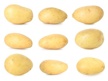 Image of Many whole potatoes isolated on white, set