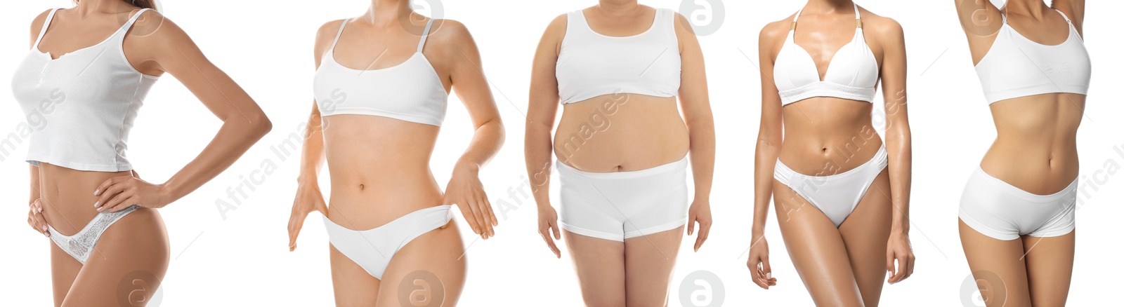 Image of Different women showing their bodies on white background, closeup. Collage of photos