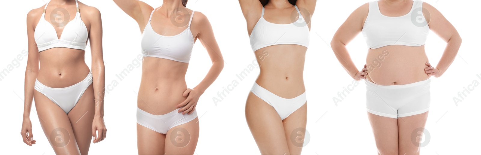 Image of Different women showing their bodies on white background, closeup. Collage of photos