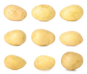 Image of Many whole potatoes isolated on white, set