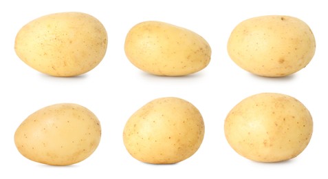 Image of Many whole potatoes isolated on white, set