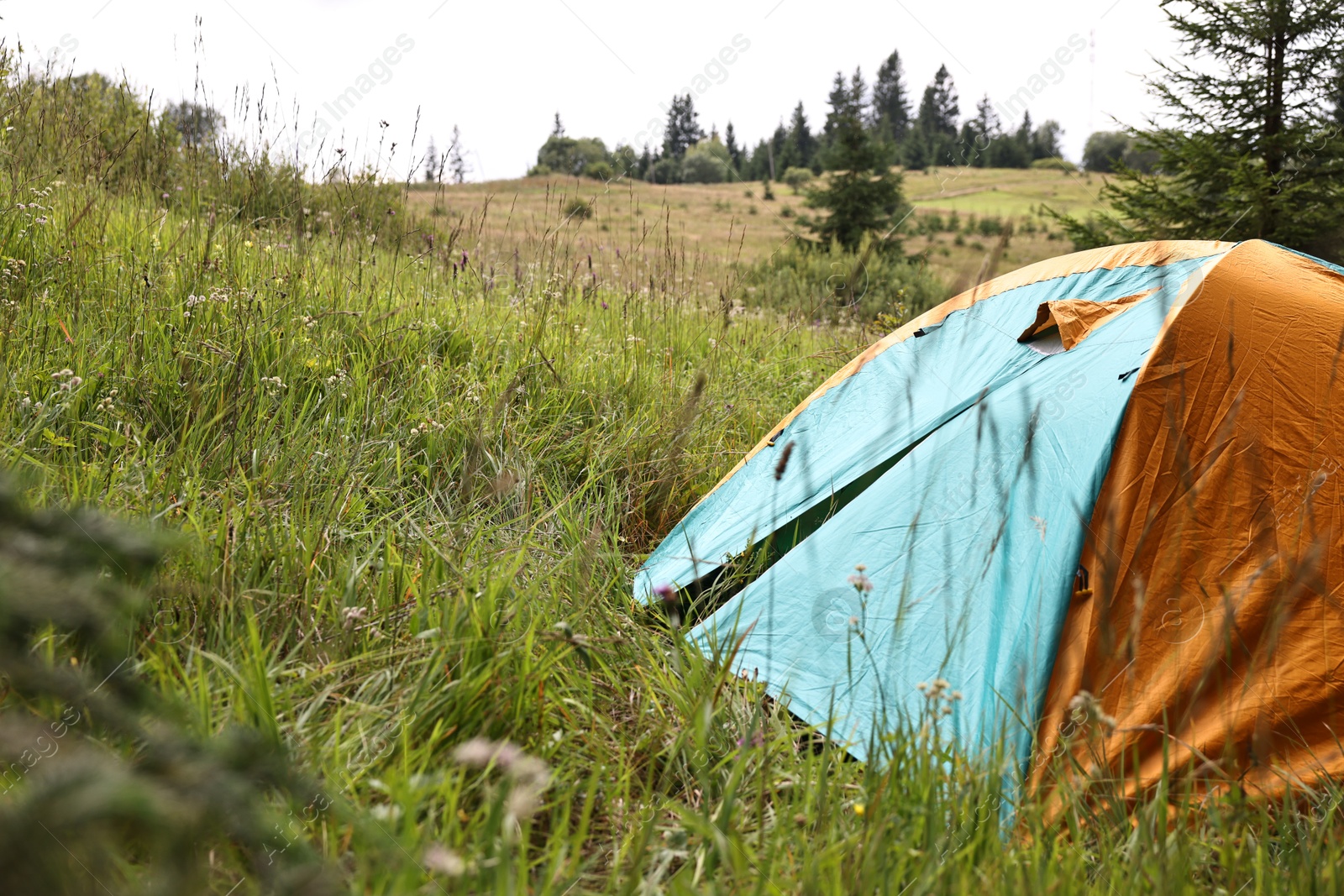 Photo of Tent on green grass in mountains, space for text