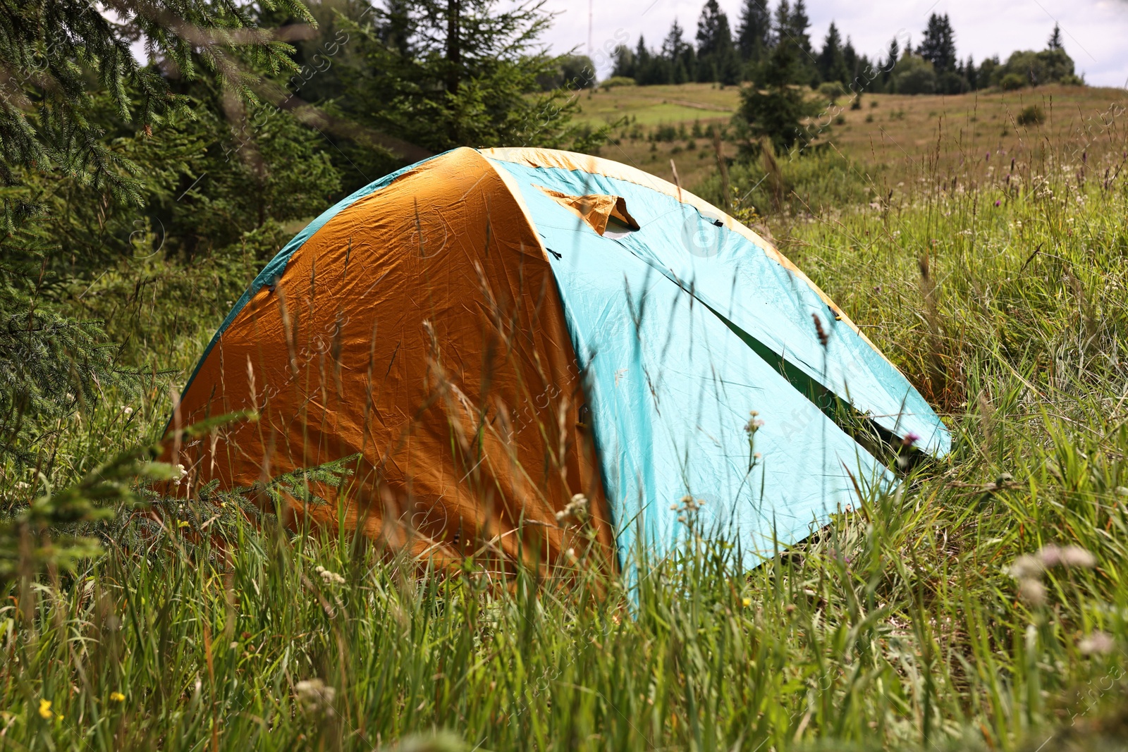 Photo of Tent on green grass in mountains. Camping equipment