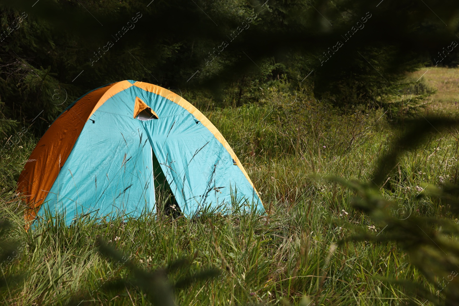 Photo of Tent on green grass in mountains, space for text