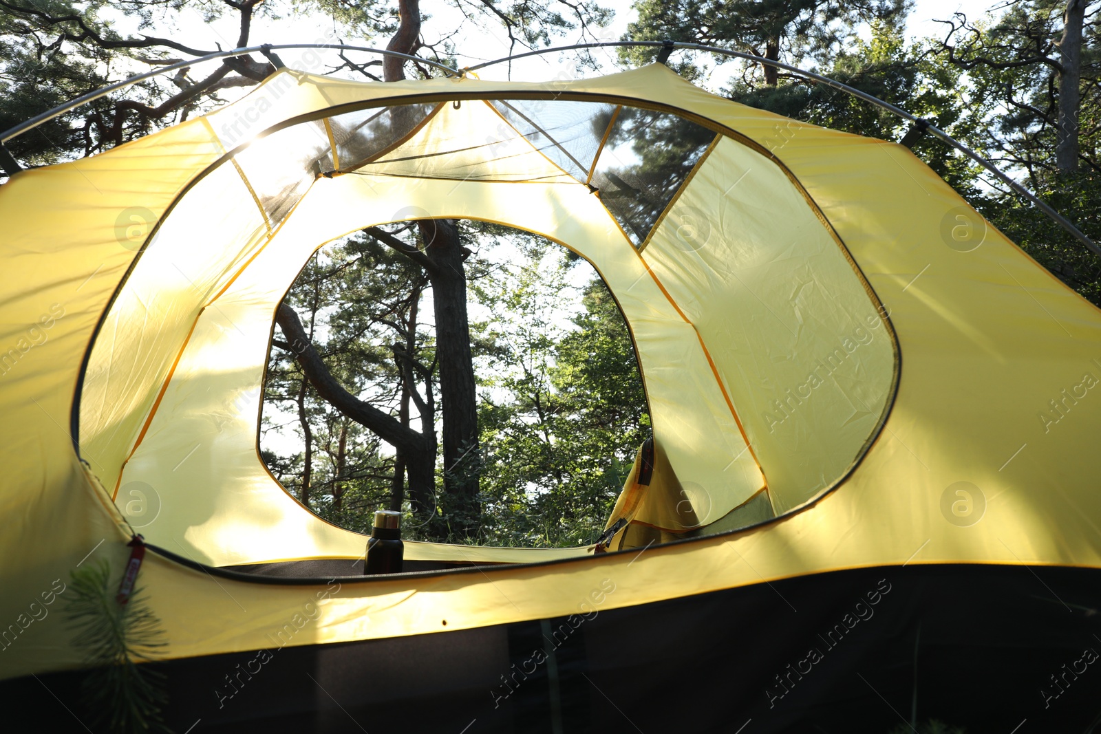 Photo of Modern camping tent in forest at summer, low angle view