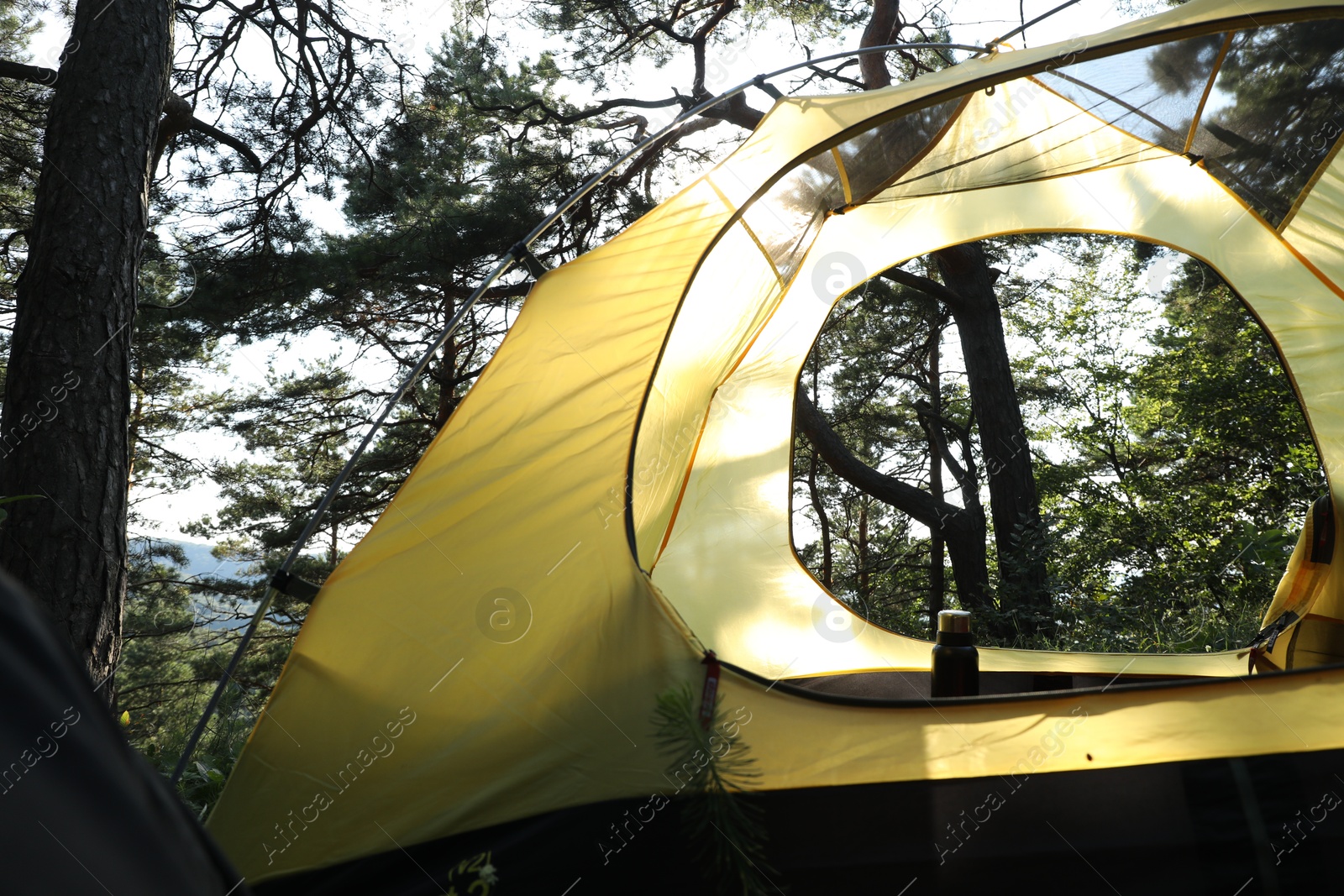 Photo of Modern camping tent in forest at summer, low angle view